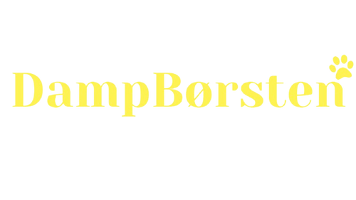 DampBørsten